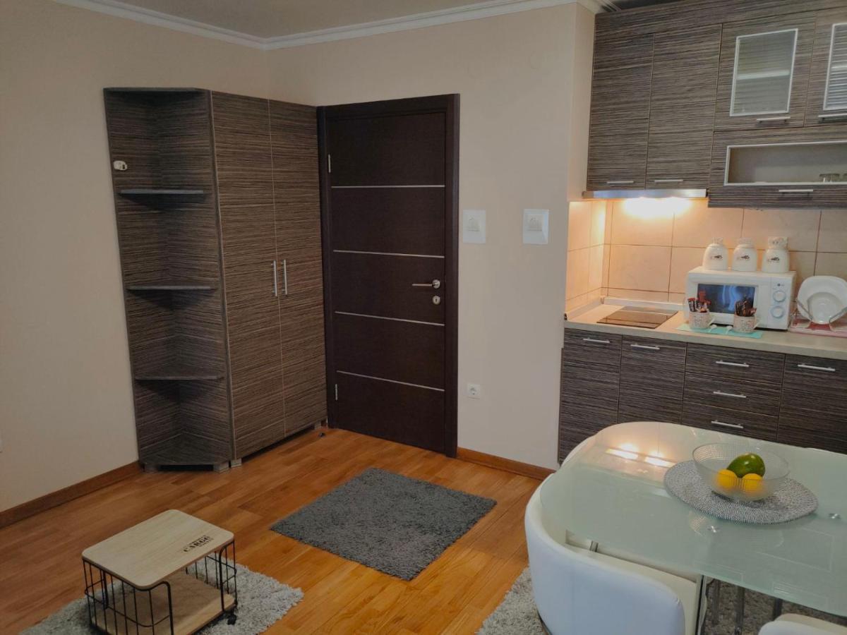 Apartman Jovanovic Vrnjačka Banja Zewnętrze zdjęcie